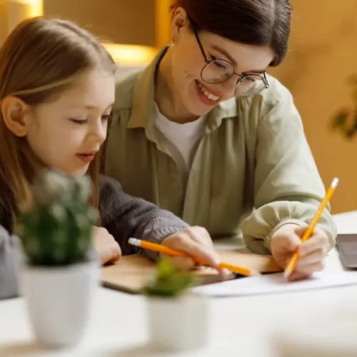 local ferntree gully student with tutor